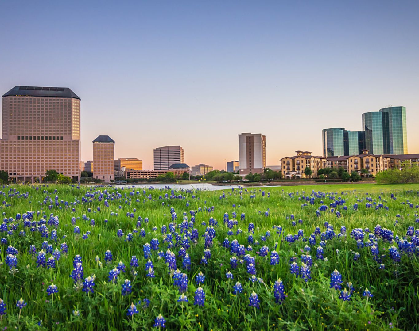 irving 2020