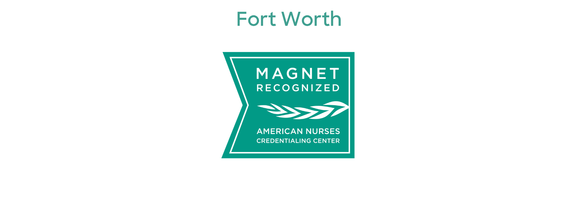 USNewsFortWorthHeart26-27