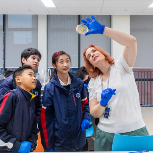 BASIS International &amp; Bilingual School Wuhan exterior pond