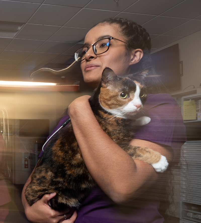 A BluePearl Associate with glasses and braids carries a calico cat.