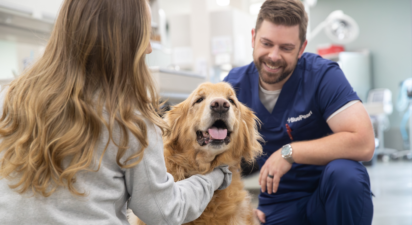 A BluePearl surgeon in blue scrubs and another veterinary professional with long hair pet a smiling golden retriever.