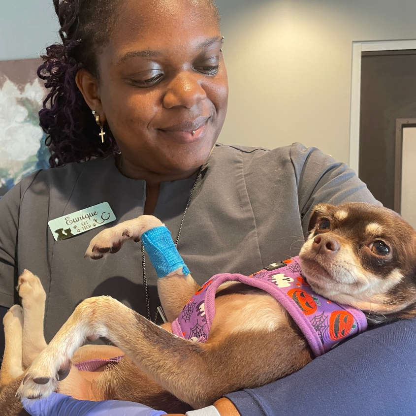 A woman cuddles a dog like a baby in her arms.
