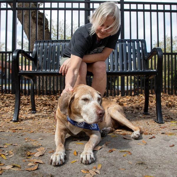 A brown dog lies in front of a woman sitting on a black metal bench.