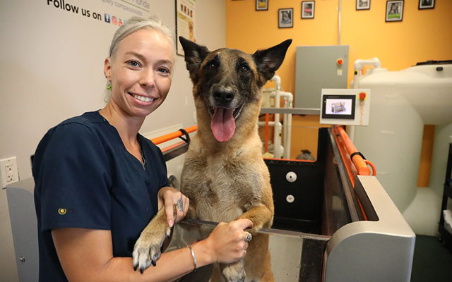 A clinician and a dog.