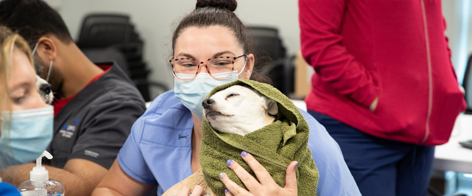 A BluePearl associate helps prepare a small dog for its exam.