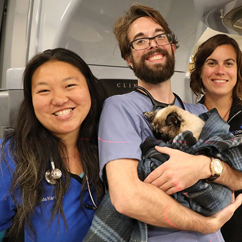 Three BluePearl Associates smile for the picture while the middle associates craddles a cat in his arms.