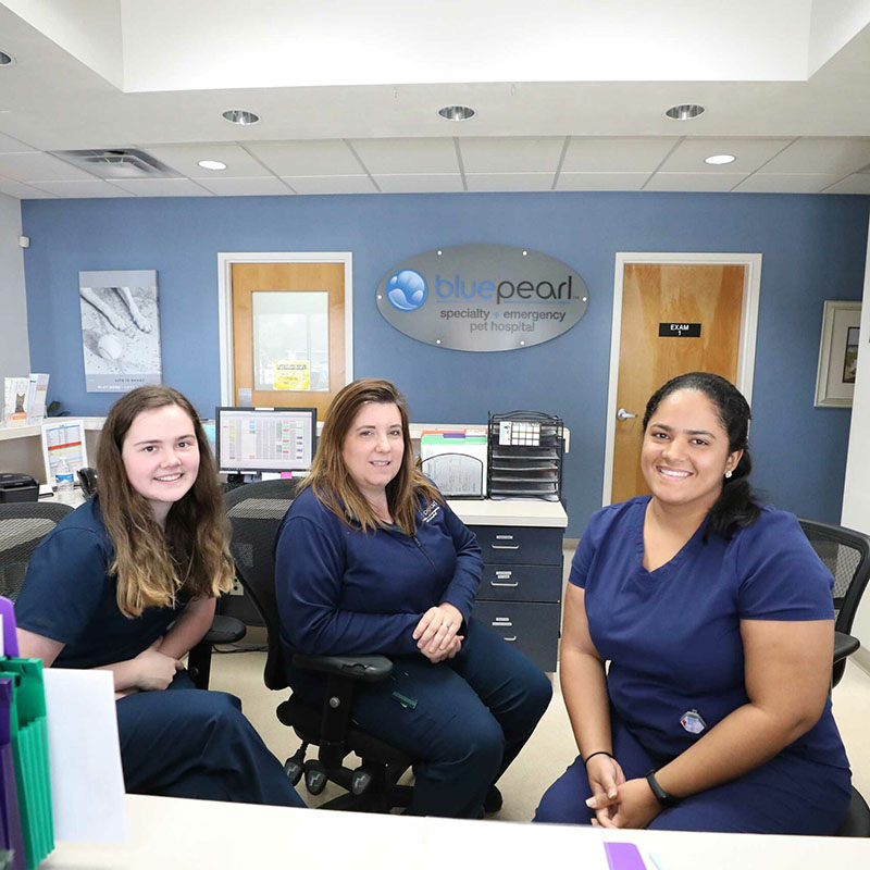 Three BluePearl client care coordinators smile from behind the front desk at a hospital.