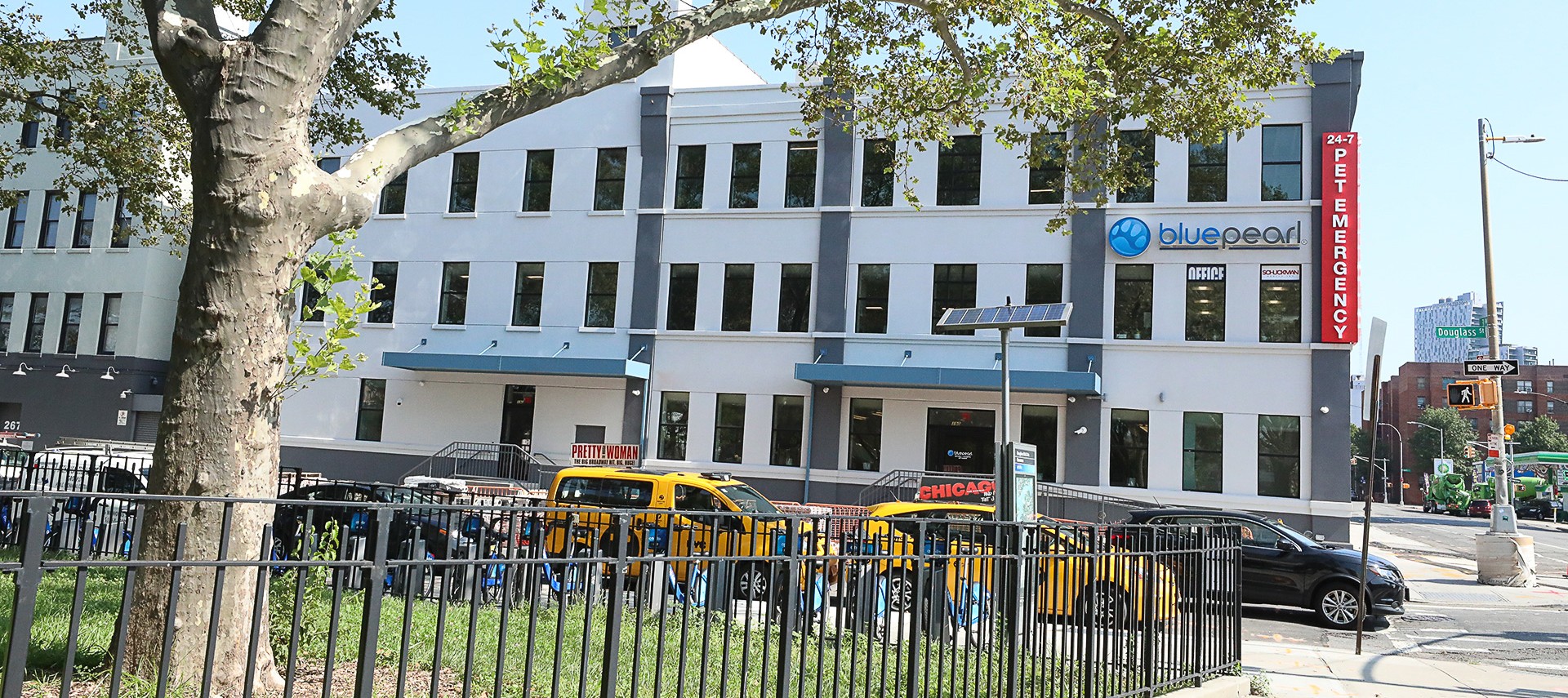 An external view of the BluePearl Brooklyn hospital, with yellow cabs out front.