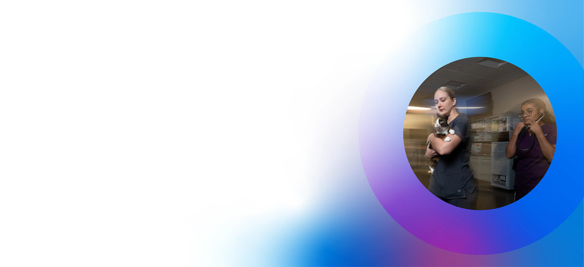 Careers_Emergency_Clinicians_Header_Desktop_1920x880