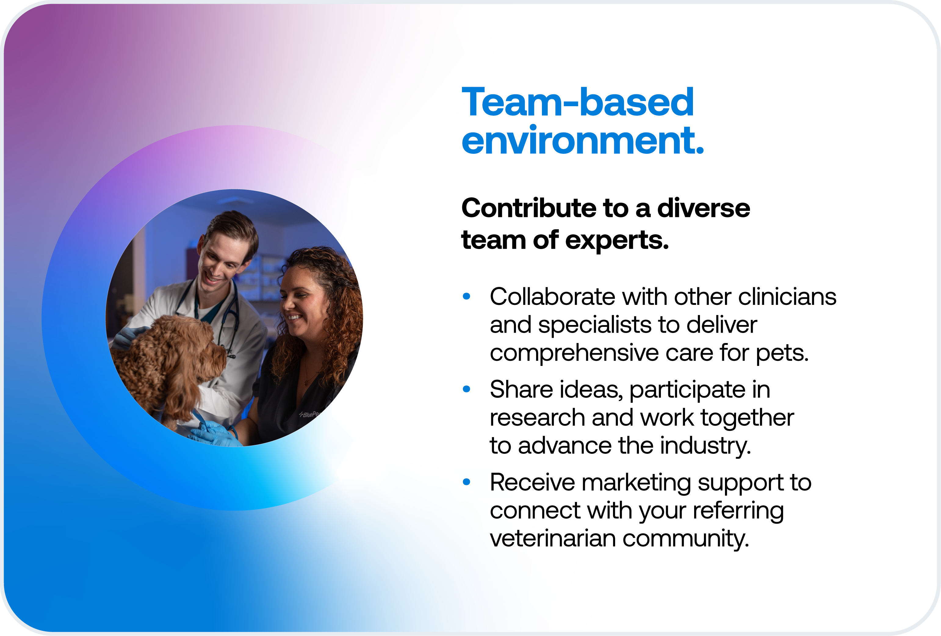 Employer_Brand_Careers_Page_Homepage_Culture_Card_Leading_The_Way