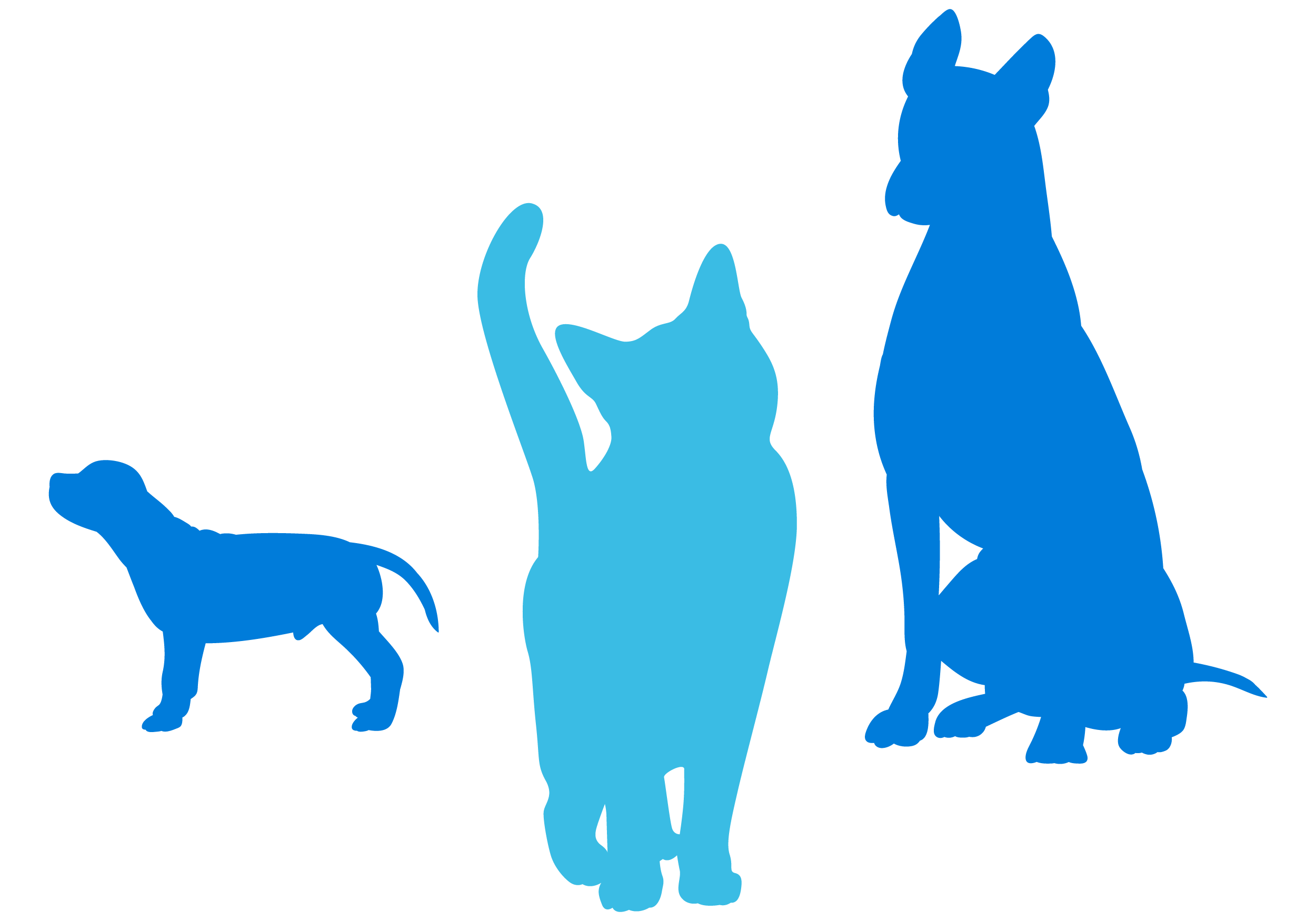 Blue silhouettes of two dogs and a cat.