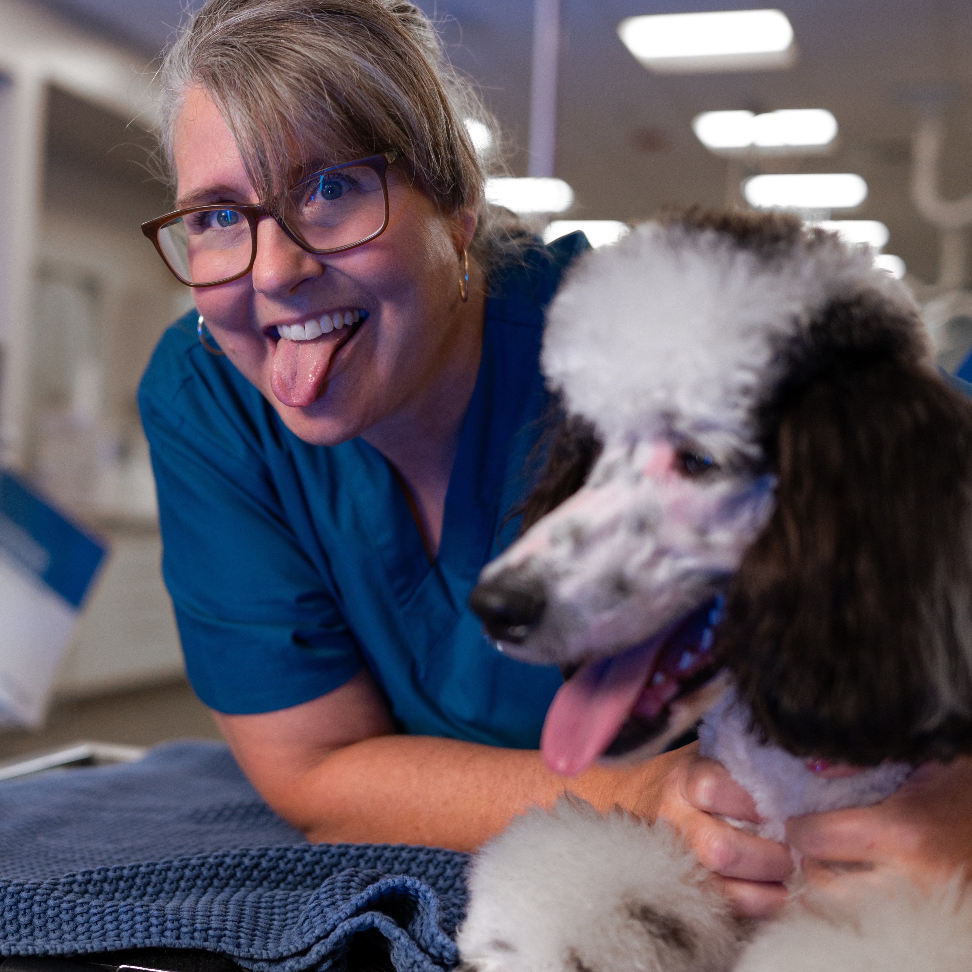 A BluePearl veterinary dental Associate and a poodle dog stick their tongues out for the camera.