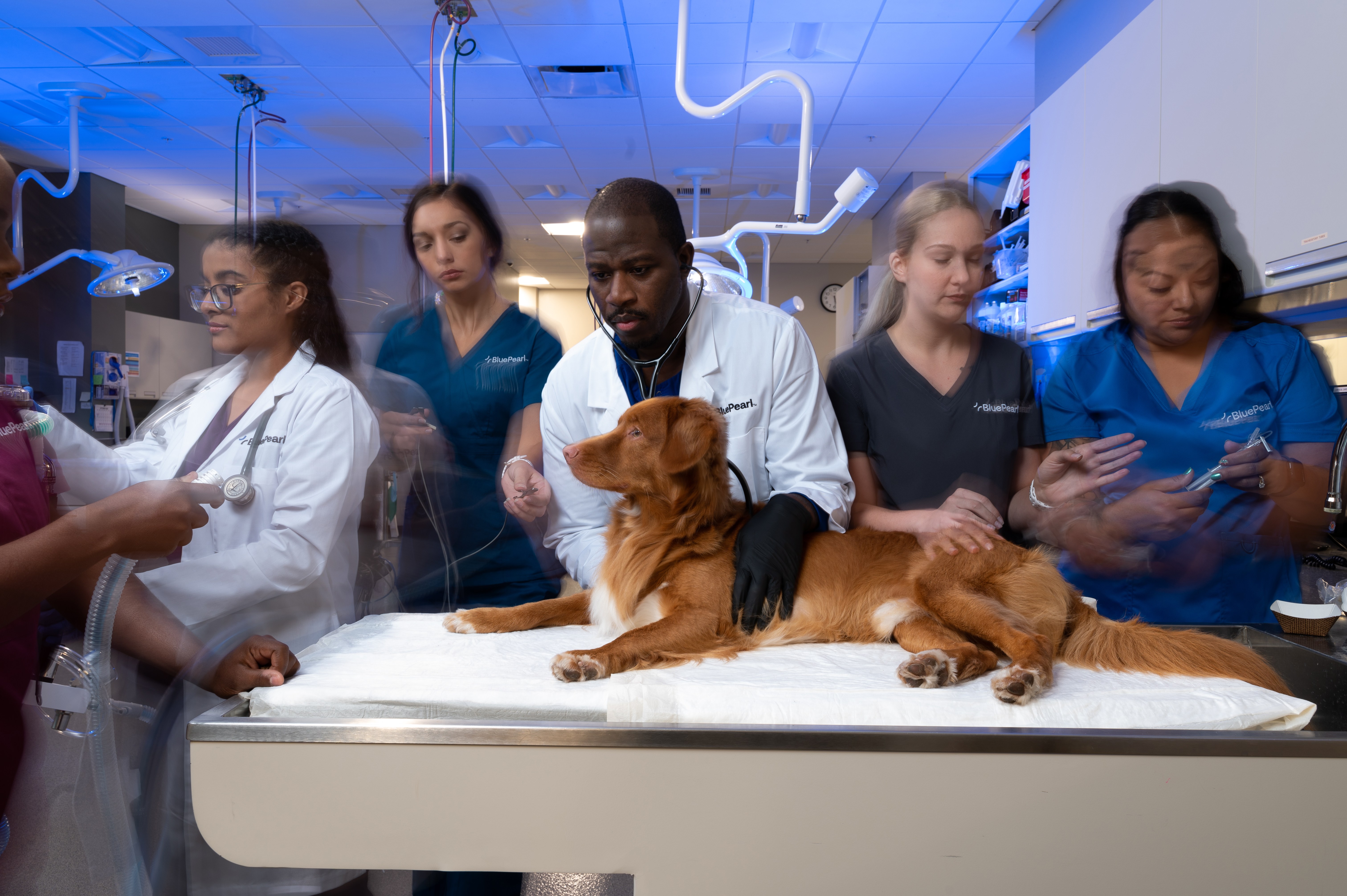 A group of BluePearl veterinary professionals gather around a red dog on a treatment table.