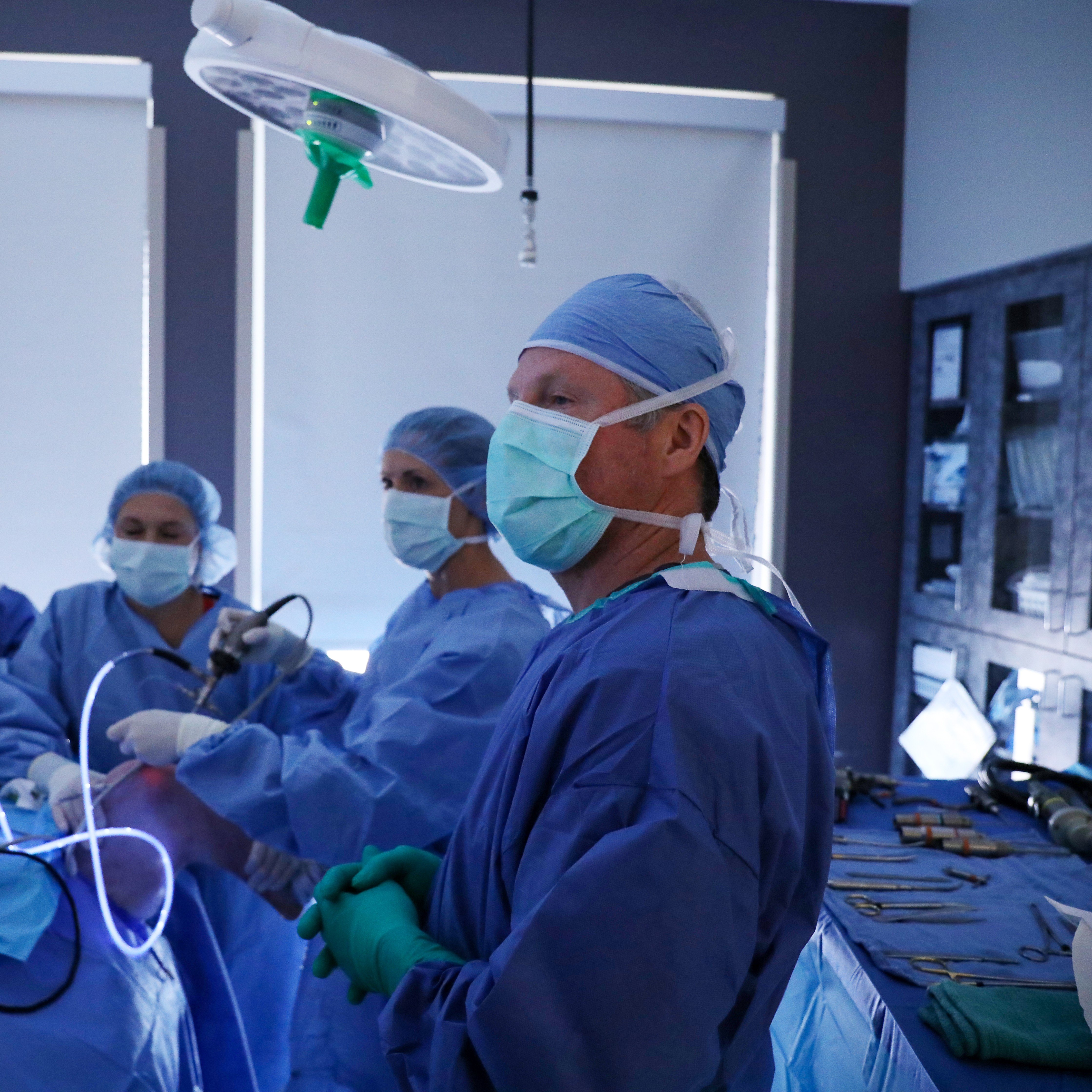 Veterinary surgeons perform a laparoscopic procedure. 