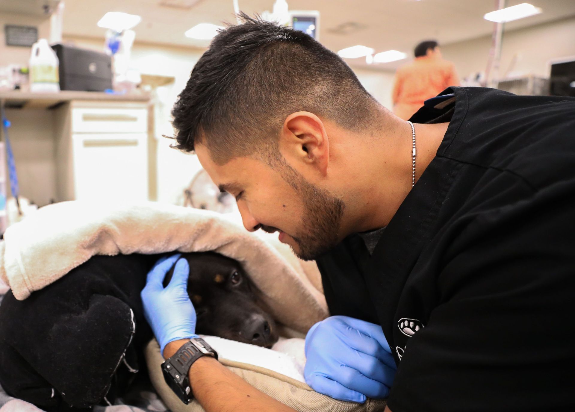 A BluePearl veterinary professional comforts a black dog under a blanket.