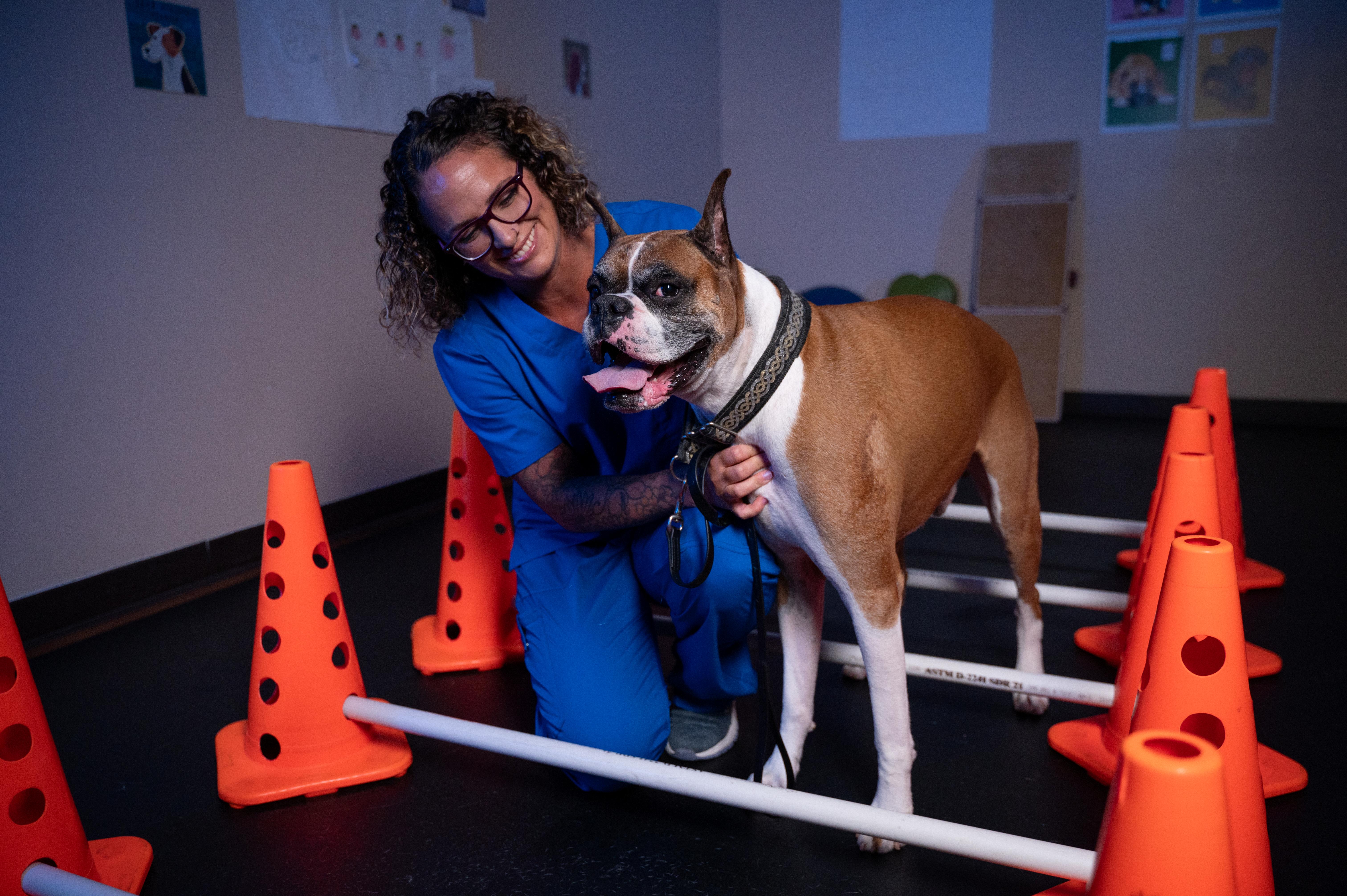 A BluePearl Associate helps a dog with physical therapy.