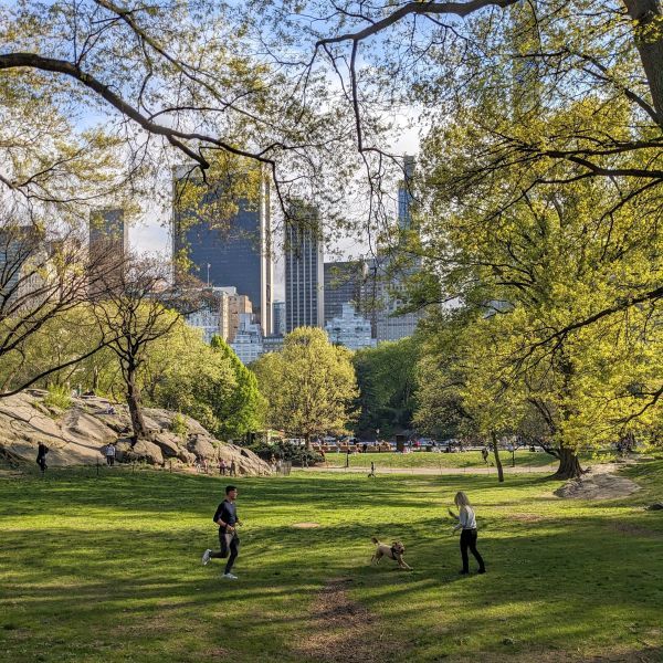 Two people and their dog enjoy Central Park.