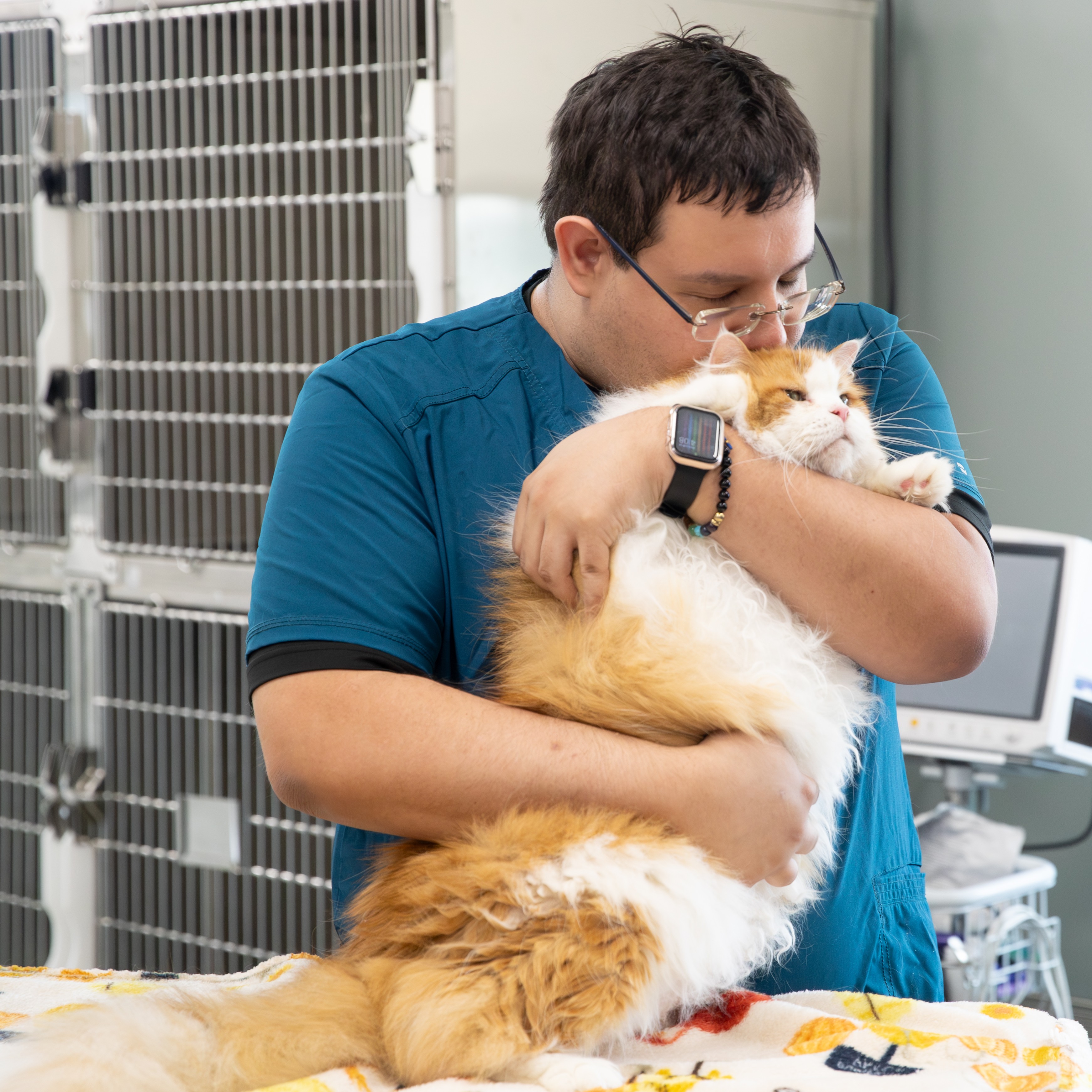 A BluePearl Associate in teal scrubs hugs and kisses a large orange and white cat.
