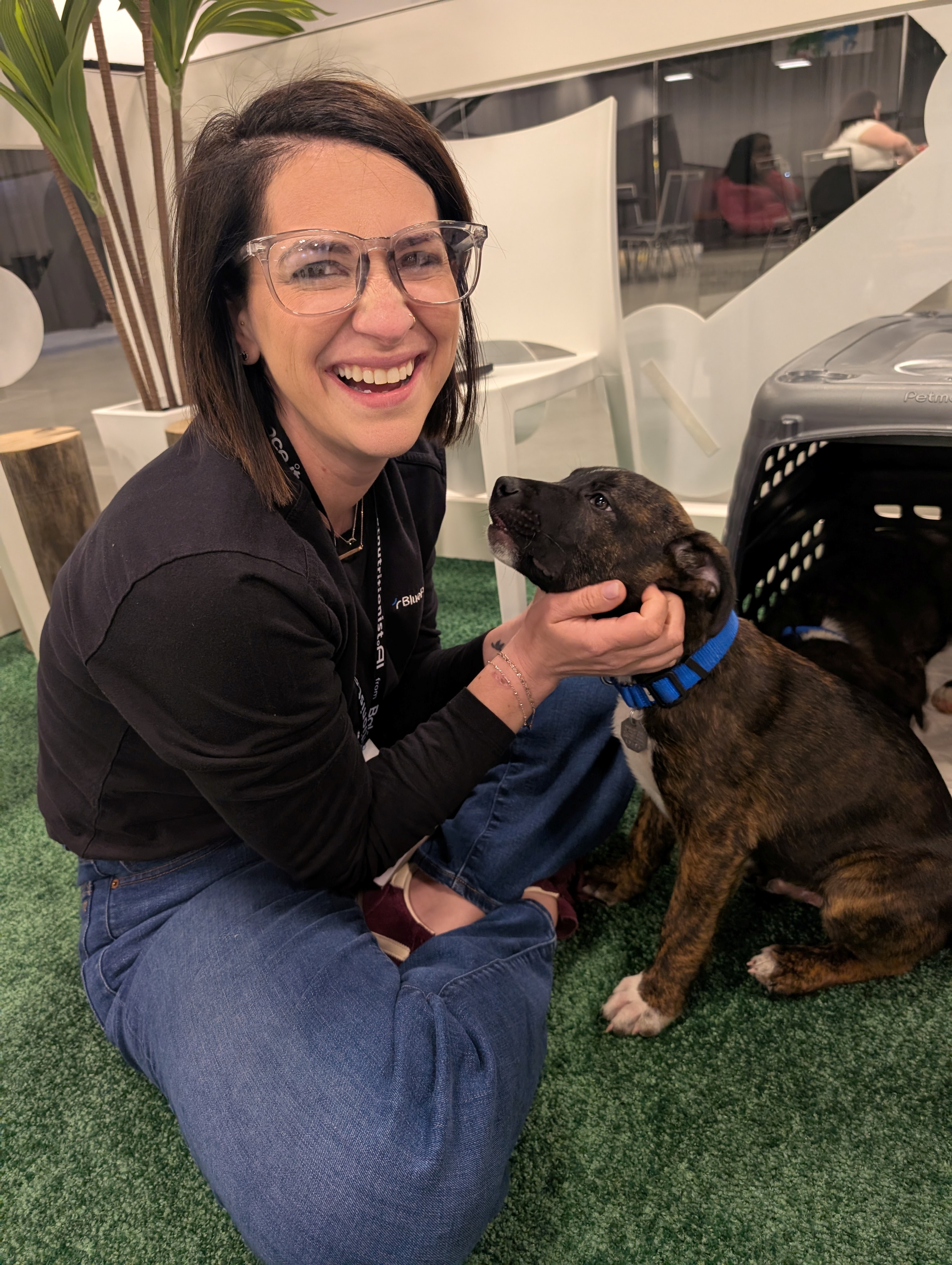 A BluePearl Associate enjoys some attention from a brindle puppy at the 2026 ACVIM Forum.