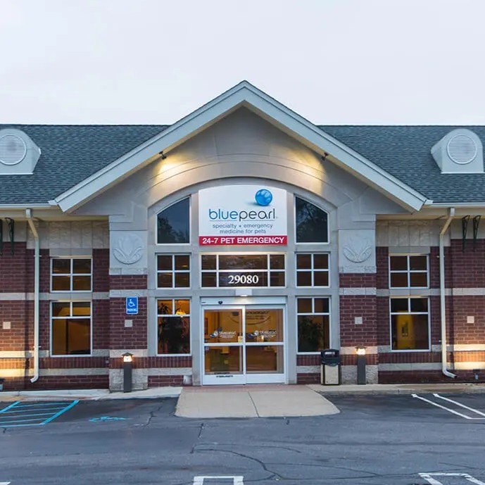The entrance to BluePearl Southfield.