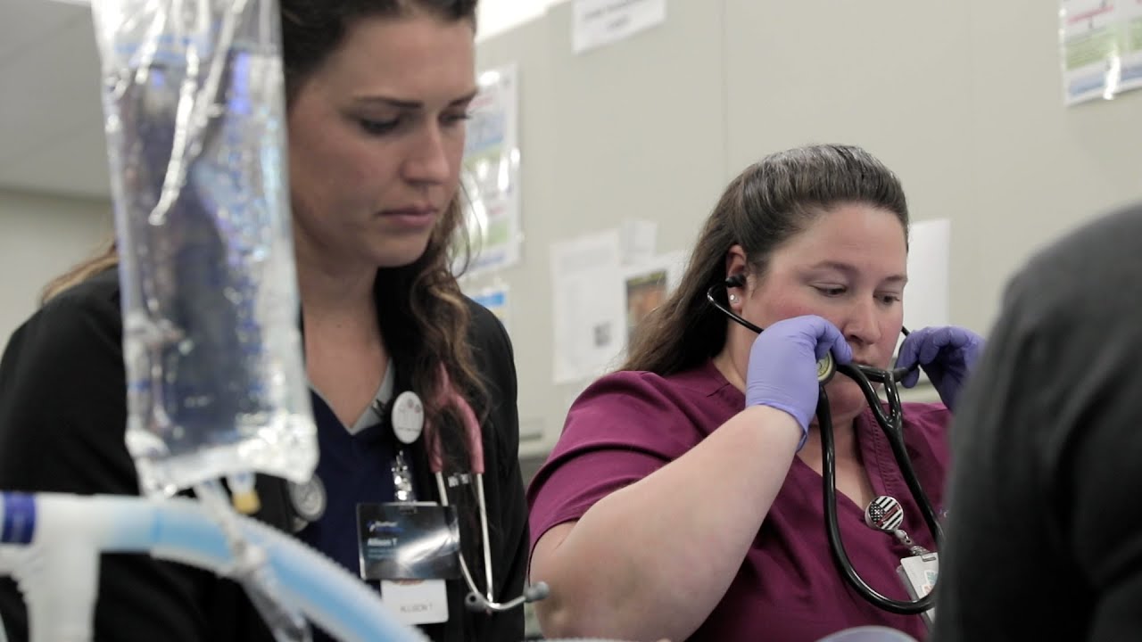 Two female BluePearl Associates prepare to care for a patient. One stands behind an IV fluid bag and the other is putting on a stethoscope.
