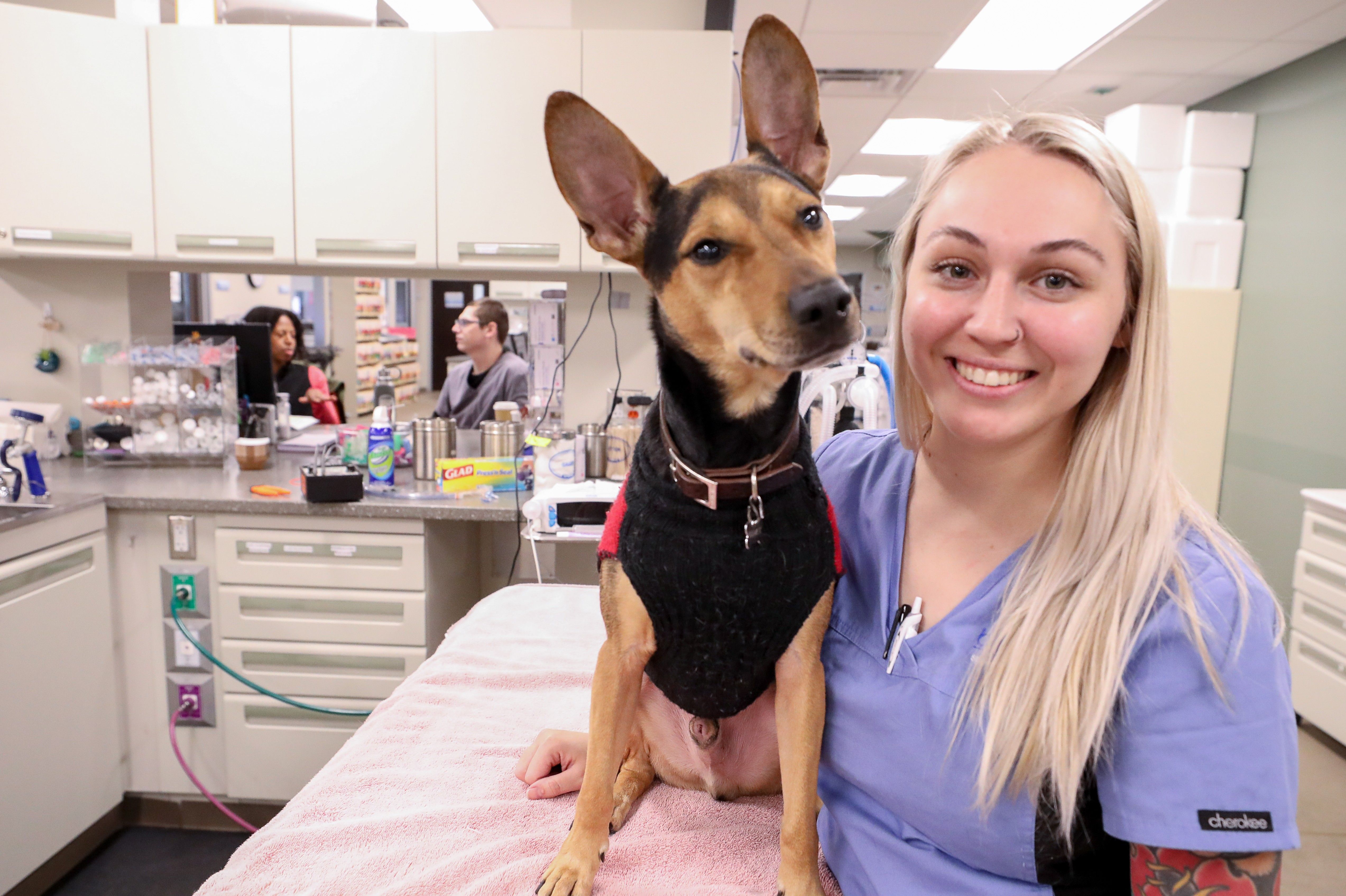 A woman with blond hair holds a happy dog in the foreground. In the background, two other BluePearl Associates chat at a counter.