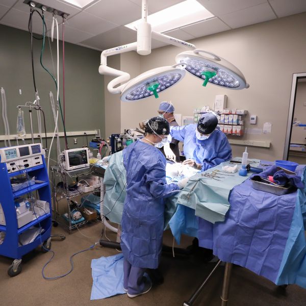 Two surgeons in the surgical suite at BluePearl Westside.