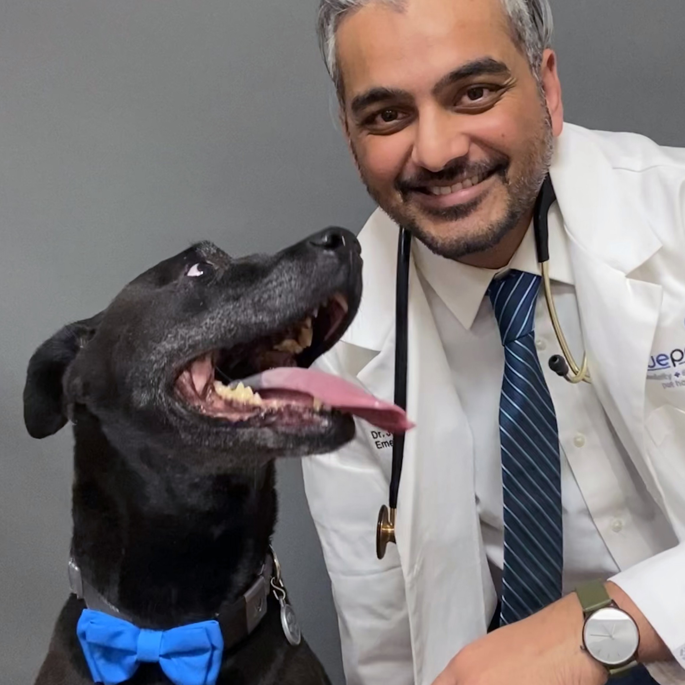 A BluePearl veterinarian and a black dog, both wearing blue ties.