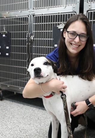 A BluePearl vet tech holds gently holds a medium sized dog in front of a kennel.