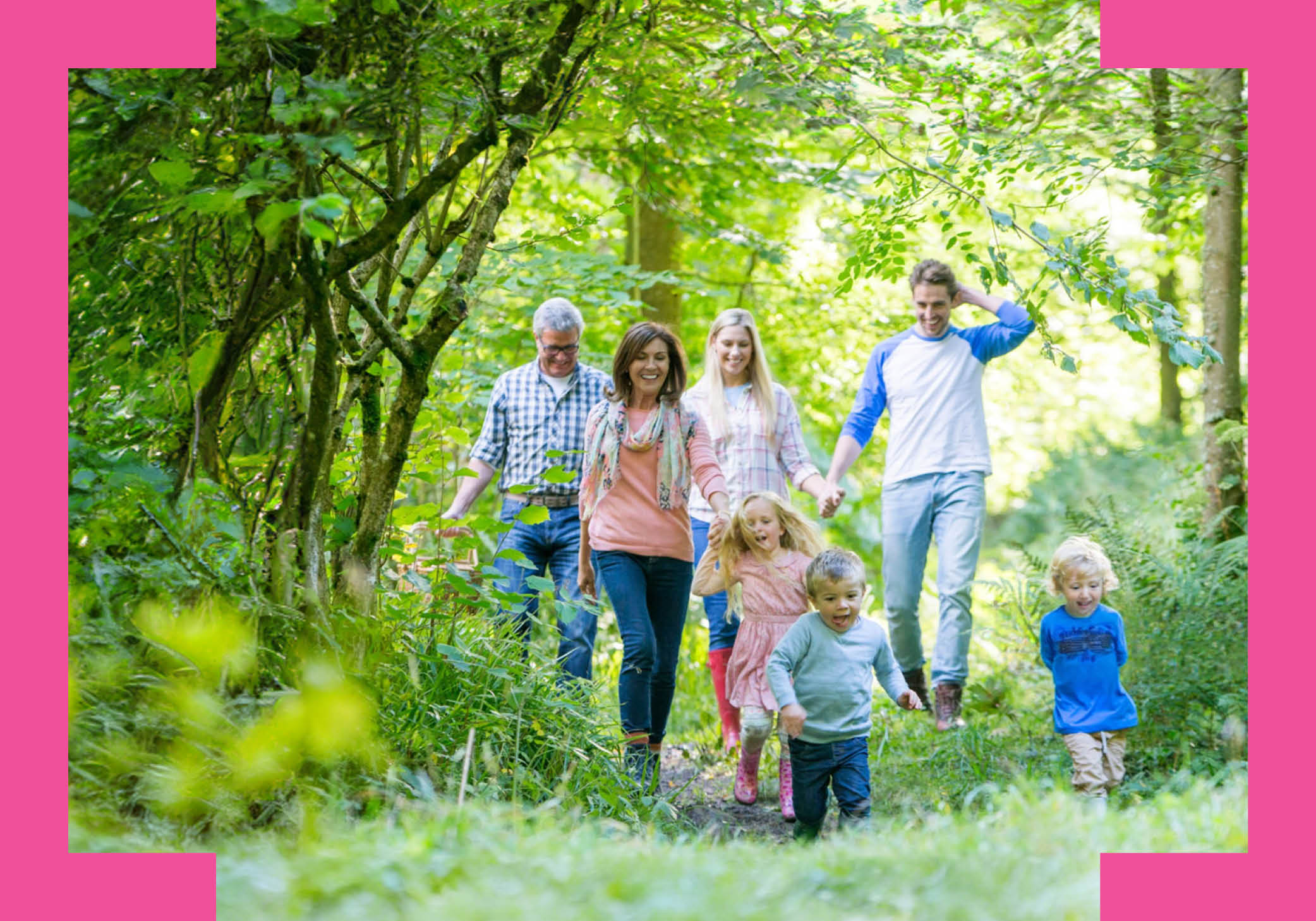 500x350withpinkbrackets