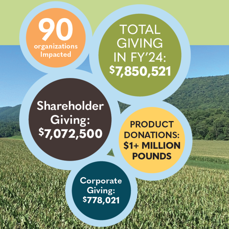 Graphic showcasing CFG Serves numbers including organizations impacted, dollars donated and corporategiving.