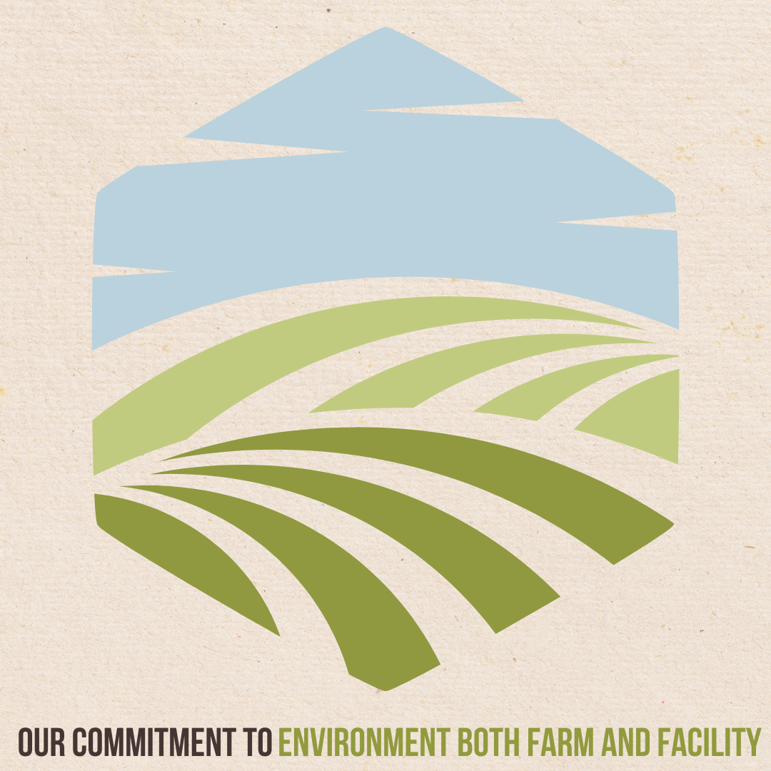 SustainabilityIGSquares