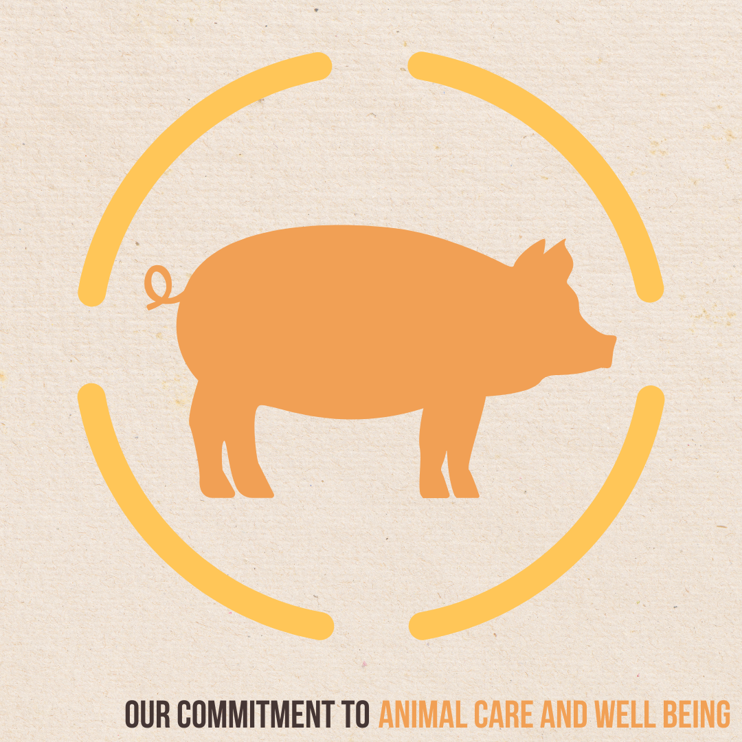 SustainabilityIGSquares1