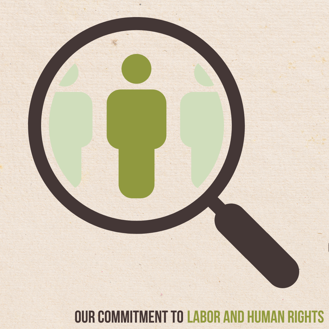 SustainabilityIGSquares2