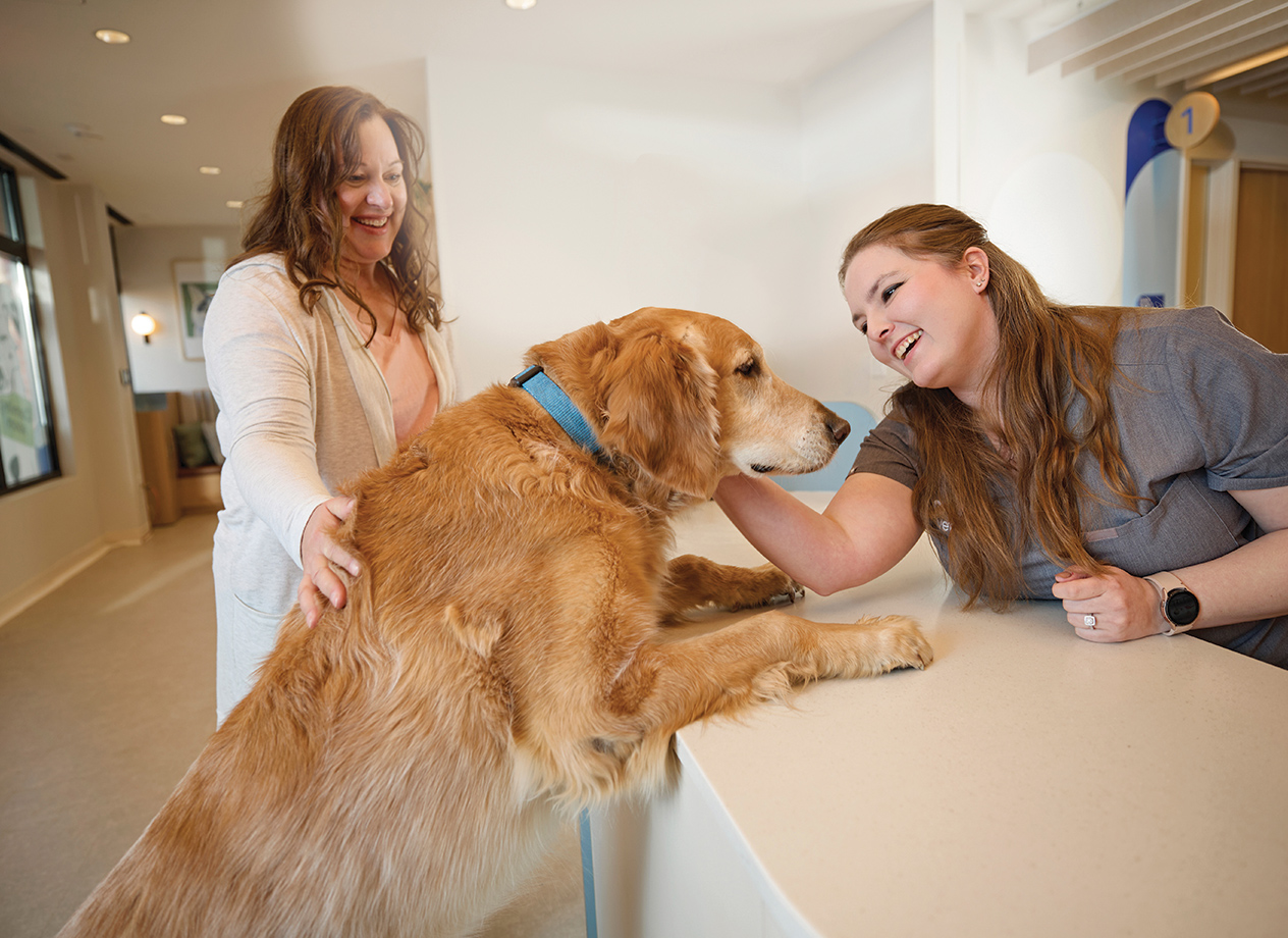 Dog CVC check-in