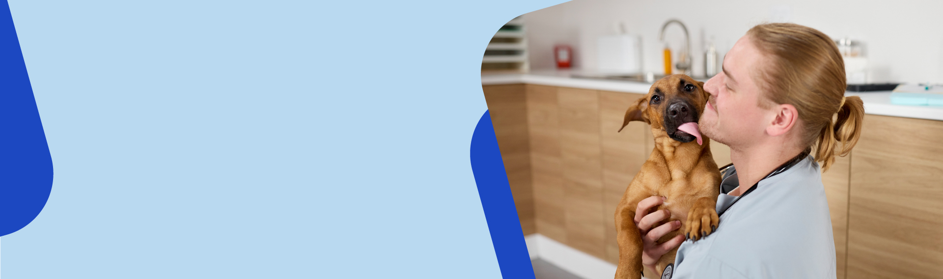 Chewy-Health-Student-Ambassador-Banner