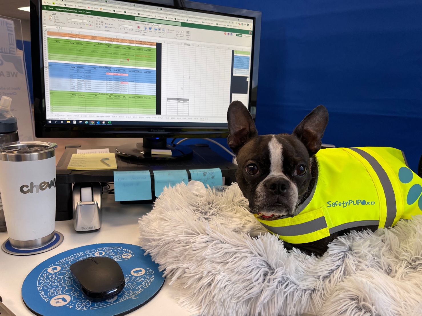 Fulfillment Center Jobs Chewy Many Locations, Great Pay & Benefits