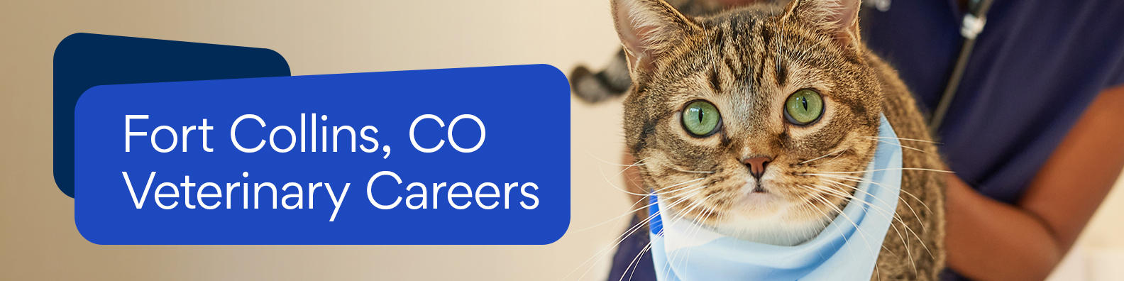 FortCollins_CareerSite