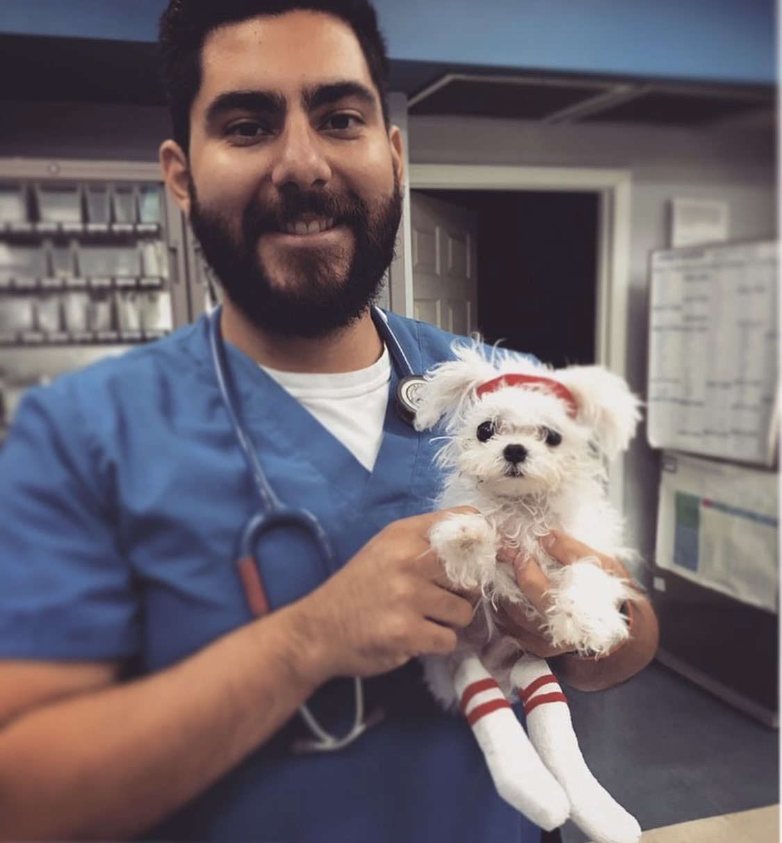 chewy-veterinary-careers
