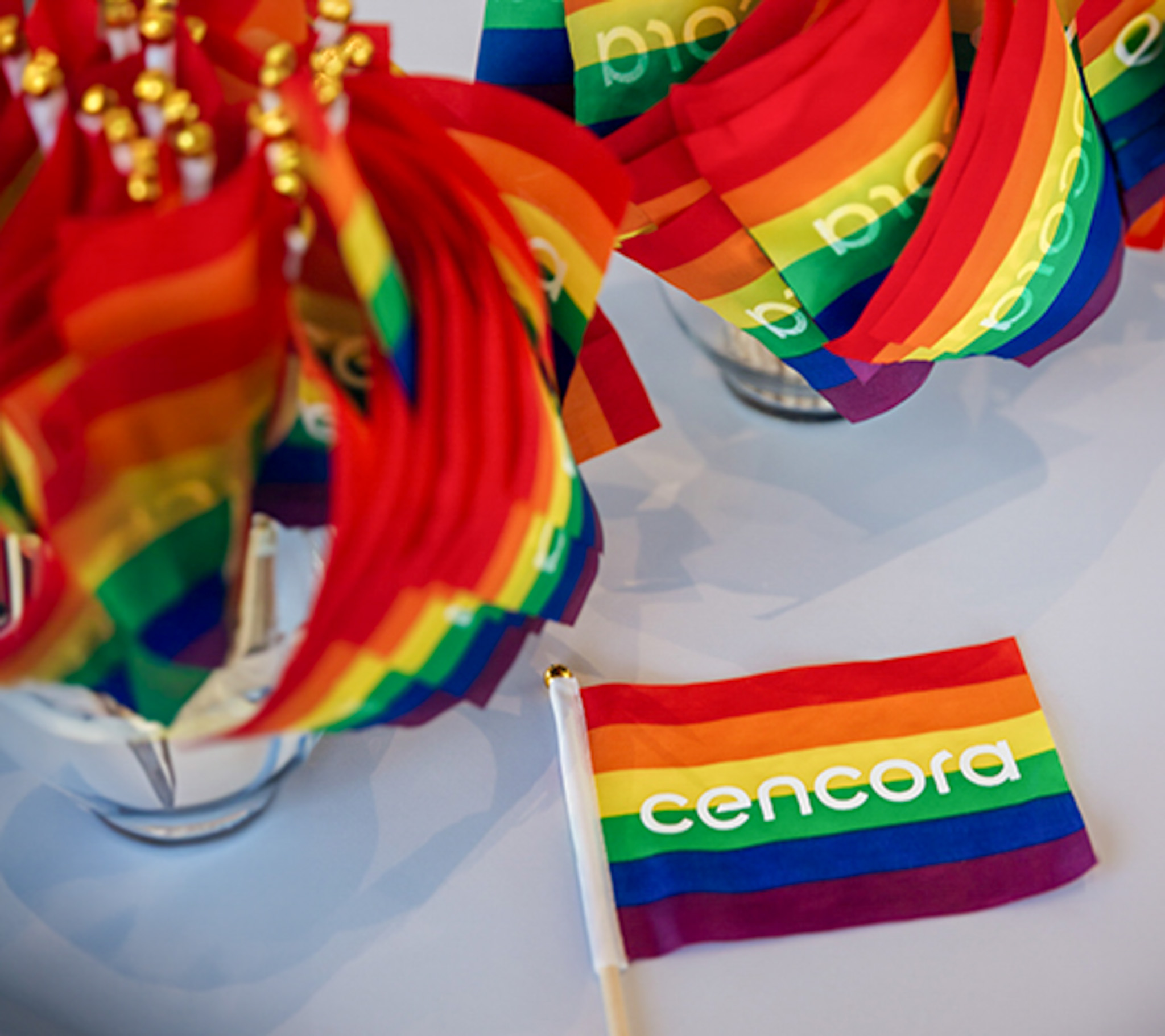 A pride flag with Cencora's logo on it rests on a table in front of two vases full of pride flags.