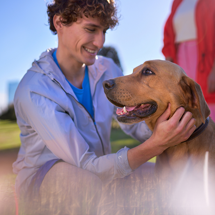 A light-skinned person in a white track jacket kneeling down to pet a dog in an outdoor park setting during a sunny day.