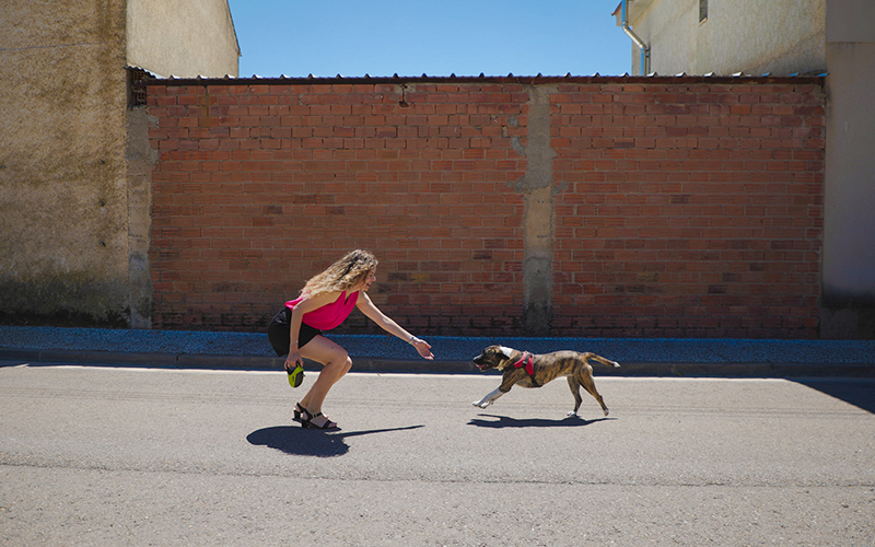 A Cencora team member plays with her dog in an open outdoor space in Spain. The dog runs towards the Cencora team member who has their hand outstretched to the dog.