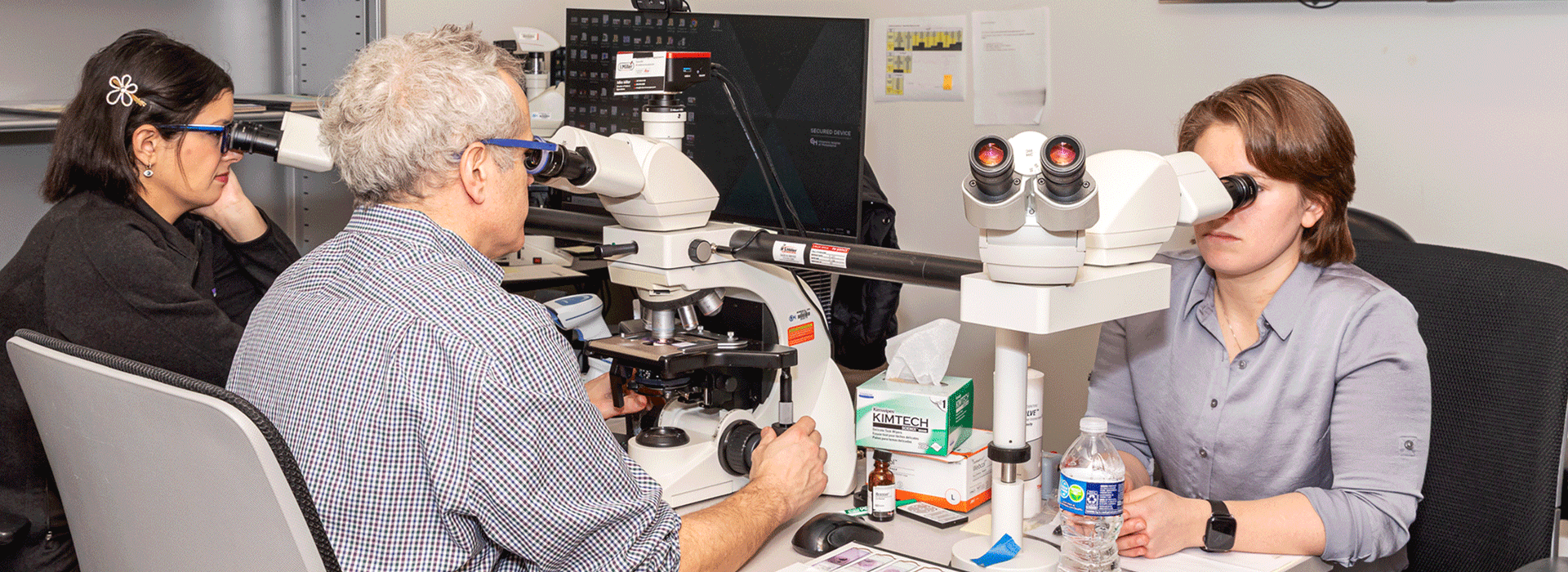 pathologists at CHOP