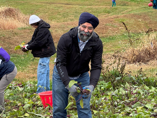 Employee picking vegetables during a volunteer event