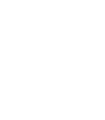 Gbl-India-IconHeadLight-65x74px