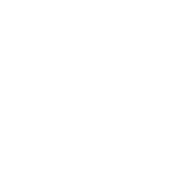A globe icon