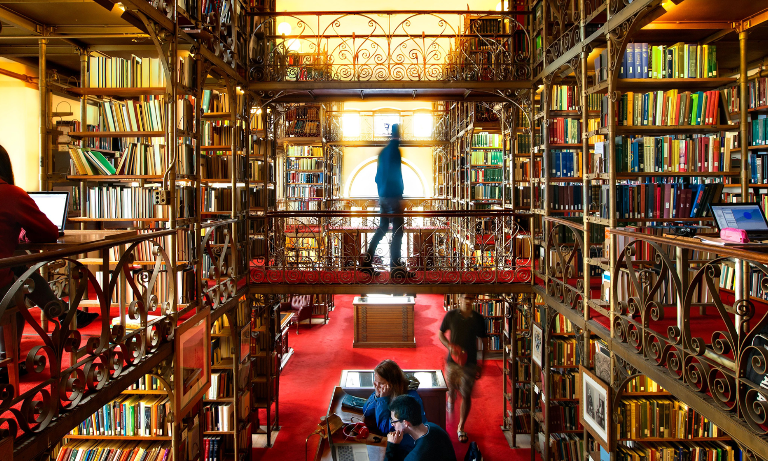 interior of A.D.White Library