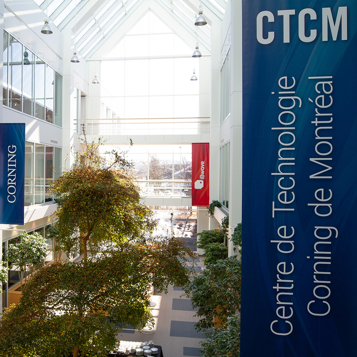 CTCM-Final-1