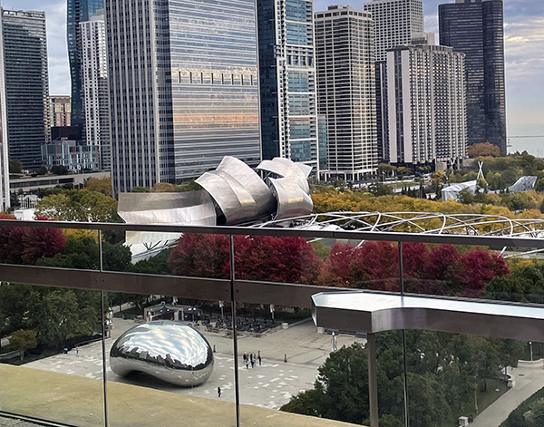 Cloud Gate and Millennium Park from above