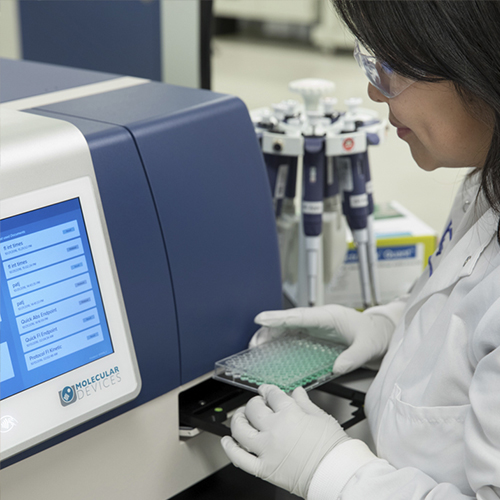 Photograph of Molecular Devices associate in lab